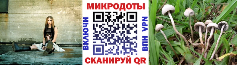 Псилоцибиновые грибы мухоморы  MEGA зеркало  Красный Холм  магазин продажи  